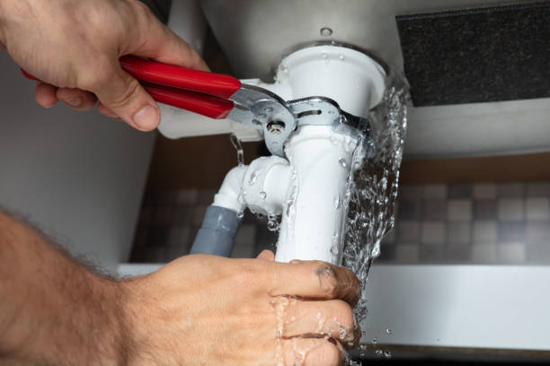 Best Water damage restoration process  in Rolling Meadows, IL