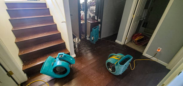 Best Water damage contractors near me  in Rolling Meadows, IL