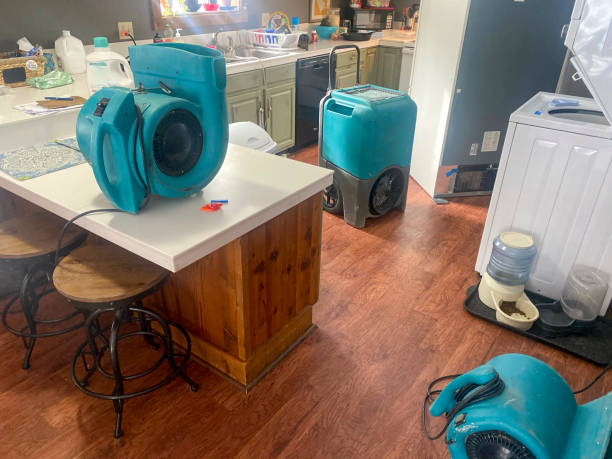 Best Water damage restoration specialists  in Rolling Meadows, IL