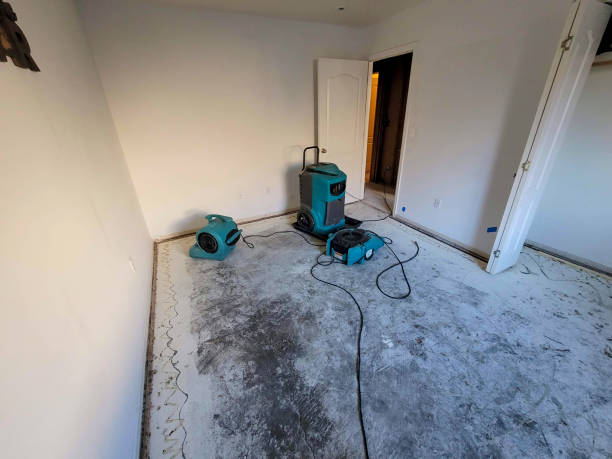 Trusted Rolling Meadows, IL Water damage restoration Experts