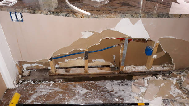 Best Commercial water damage restoration  in Rolling Meadows, IL