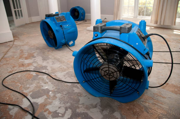 Best Carpet water damage restoration  in Rolling Meadows, IL