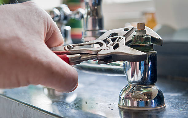 Best Flood restoration services  in Rolling Meadows, IL