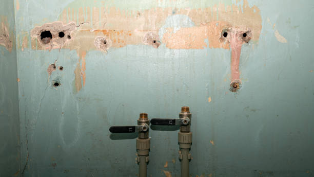 Best Carpet water damage restoration  in Rolling Meadows, IL