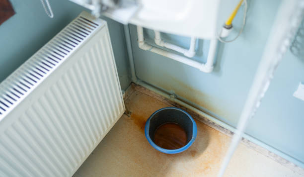Best Basement water damage restoration  in Rolling Meadows, IL