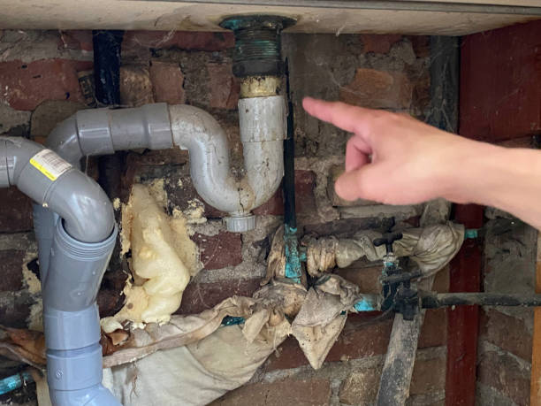 Best Local water damage restoration  in Rolling Meadows, IL