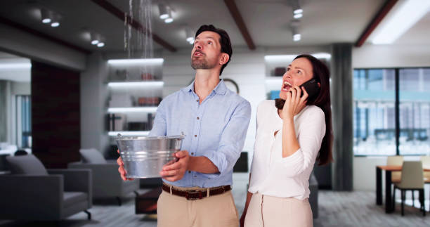 Water damage restoration mold remediation in Rolling Meadows, IL