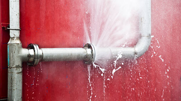 Best Water damage cleanup near me  in Rolling Meadows, IL