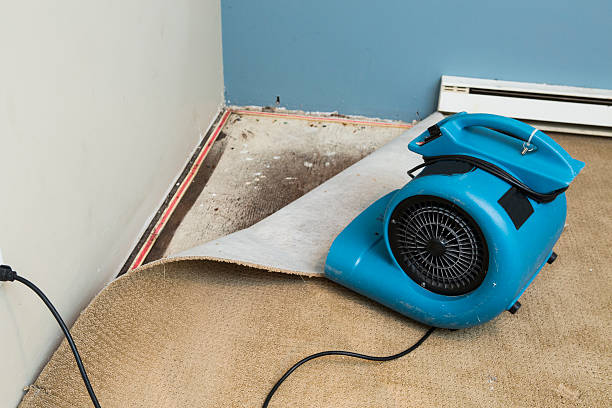 Best Flood damage cleanup  in Rolling Meadows, IL